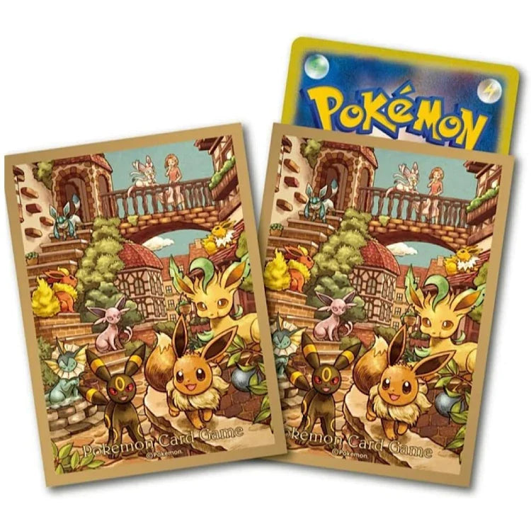 Pokemon Eevee Heroes Gym Set (2 Booster Boxes)