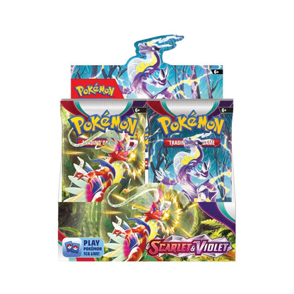 Pokemon Scarlet & Violet Base - Booster Box